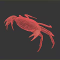 Dark Brown Crab With Prominent Claws And Extended Legs On Gray Surface