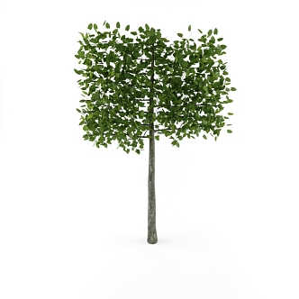 Tree 3d model