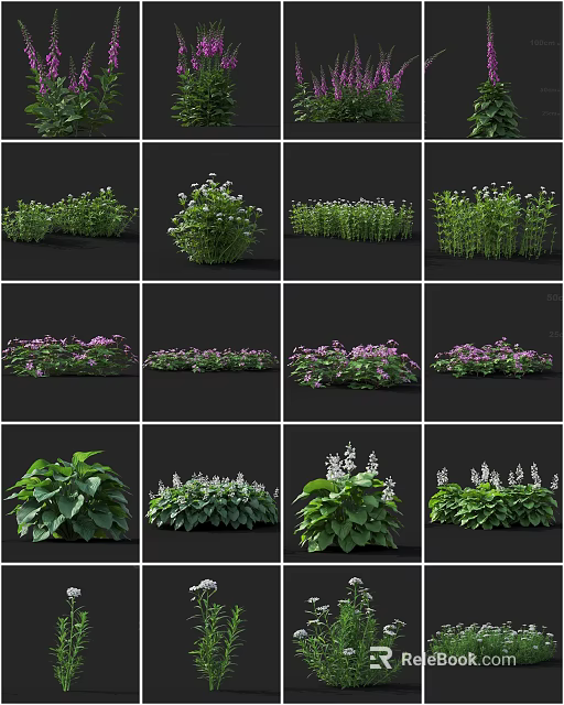 Various Garden Flowers And Green Plants With Purple Blooms And Foliage 3d model 