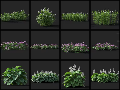 Various Garden Flowers And Green Plants With Purple Blooms And Foliage 3d model