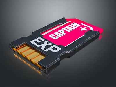 CAPTAIN EXP High Speed Memory Card Electronic Storage Device For Digital Data 3d model