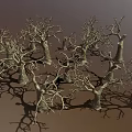 Dry Leafless Trees in Natural Forest Landscape with Shadowy Trunks and Branches 3d model