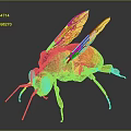 Vibrant Red and Orange Insect with Transparent Wings Shiny Body on Dark Background
