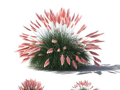 Elegant Pink Pampas Grass Decorative Ornament Set With Green Foliage And Plume Accents 3d model