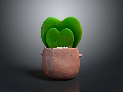 Heart Shaped Green Succulent Plant in Brown Clay Pot with Simple Gray Background 3d model