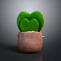 Heart Shaped Green Succulent Plant in Brown Clay Pot with Simple Gray Background