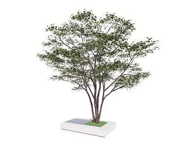 Landscape Arbor Tree model