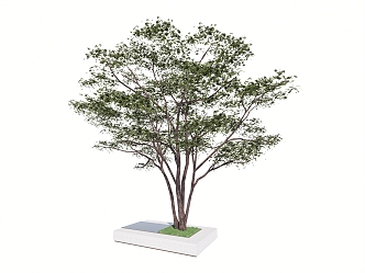 Landscape Arbor Tree 3d model