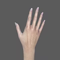 Human Hands and Arms with Different Skin Tones on Gray Background 3d model