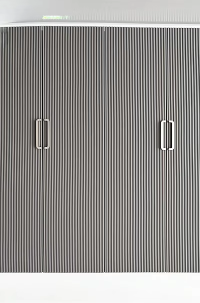 Modern Gray Wardrobe Interior Design With Vertical Stripes Double Doors And Metal Handles 3d model