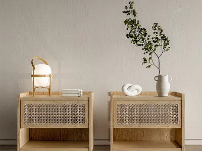 Natural Wooden Bedside Tables With Woven Drawers Table Lamp Books And Plant Vase 3d model