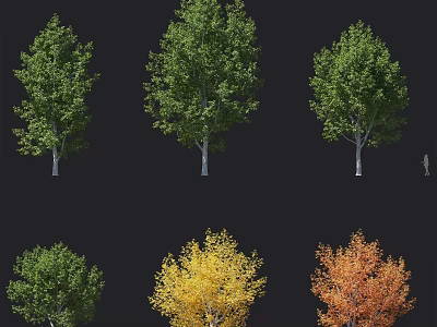 Set of Arbor Trees with Green Yellow Orange Foliage Isolated on Dark Background 3d model
