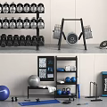 Home Gym Fitness Equipment With Dumbbells Weight Plates Kettlebells Exercise Balls Yoga Mat And Shelves