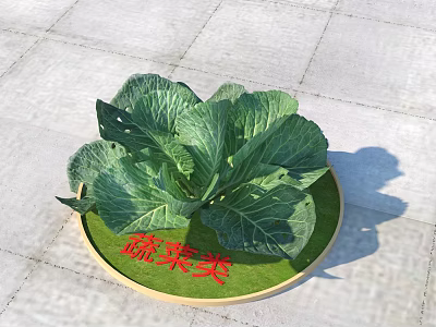 Vegetable Type Bonsai Potted Plant With Green Leaves In Round Pot And Label 3d model