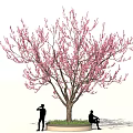 Tall Tree With Pink Blossoms And Two People Standing And Sitting On Circular Grass Base