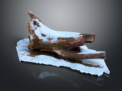 Natural Scene With Weathered Log Covered In Snow And Green Moss 3d model