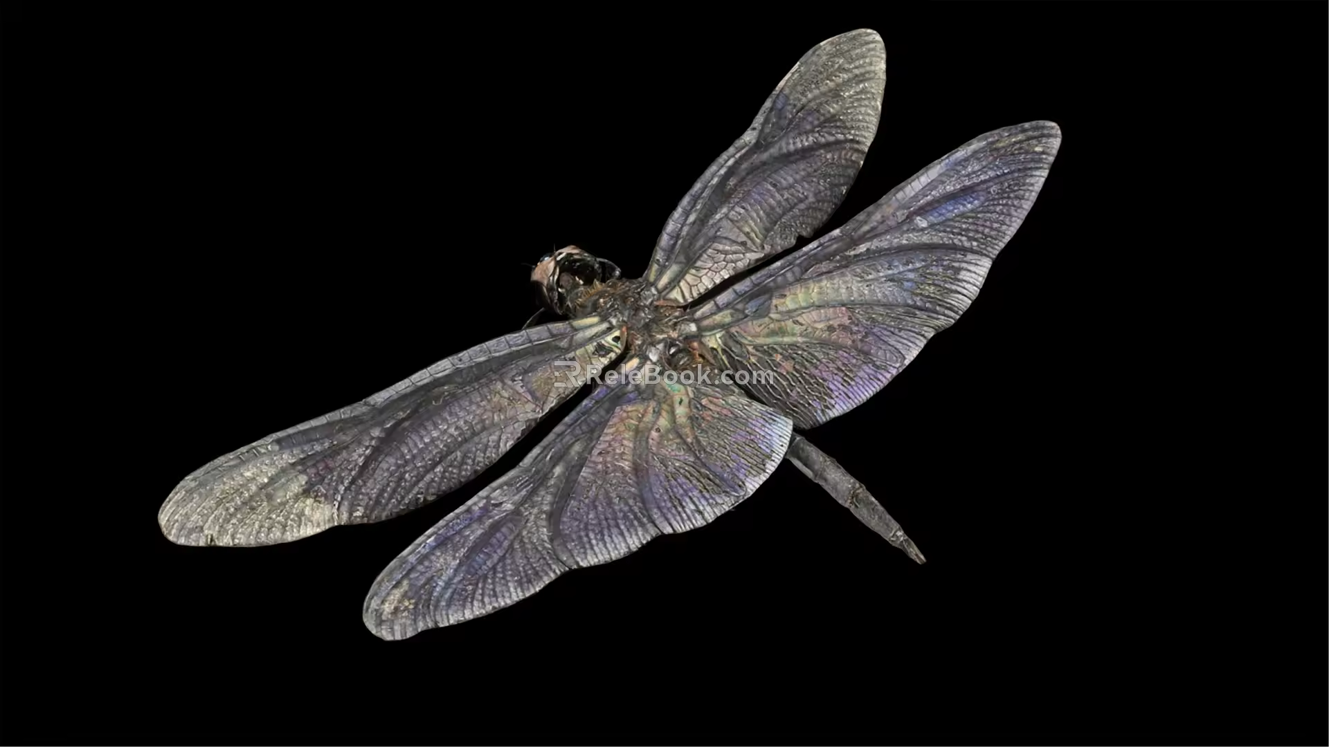 modern dragonfly 3d model