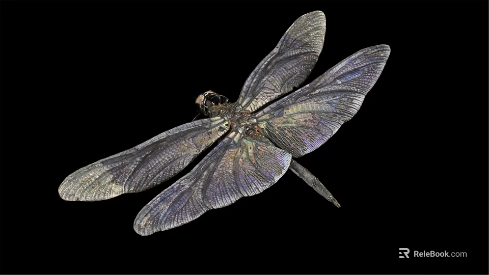 Detailed View Of Metallic Dragonfly With Shimmering Iridescent Wings On Black Background 3d model 