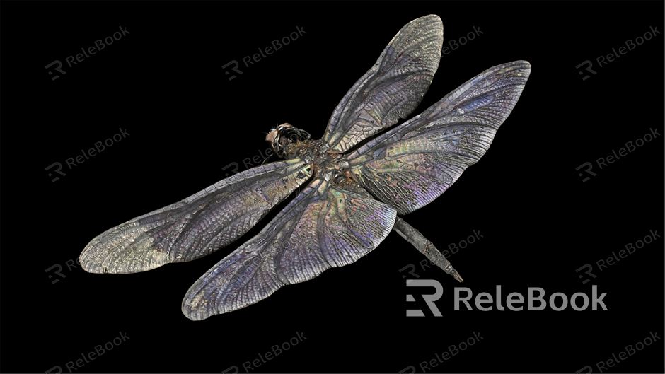 modern dragonfly model