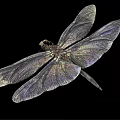 modern dragonfly 3d model