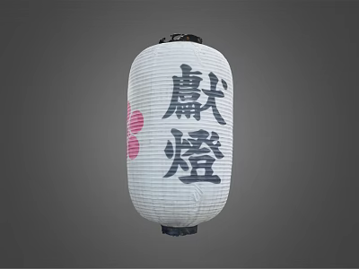 Traditional Chinese Paper Lantern Furniture With Black Xiandeng Characters And Pink Floral Design 3d model
