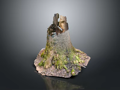 Natural Wooden Stone Stump With Mossy Base And Intricate Surface Texture 3d model