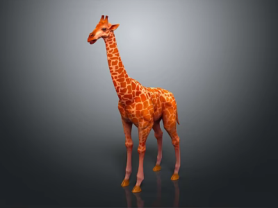 Realistic Spotted Giraffe With Long Neck Standing Gracefully On Gray Background 3d model