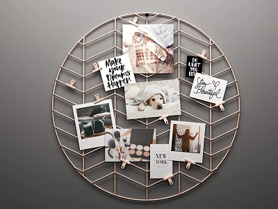 Circular Metal Grid Photo Wall with Clips Holding Photos Pet Pictures Text Cards and Decor 3d model