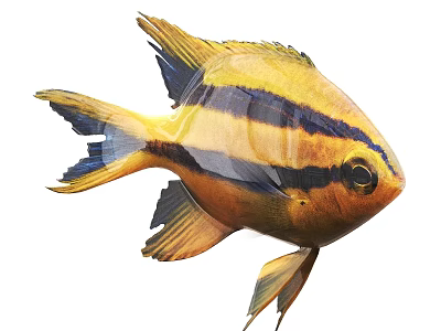 Vibrant Yellow And Black Striped Aquatic Animal Tropical Fish With Distinctive Fins 3d model