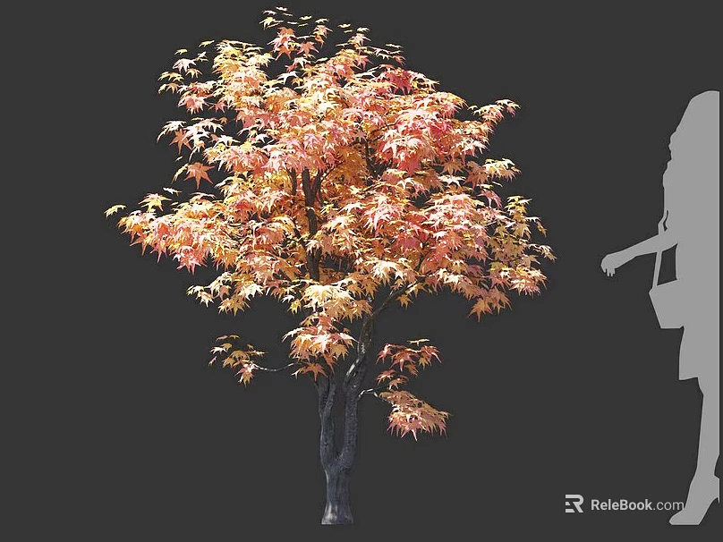 Maple Arbor With Orange Red Leaves And Dark Trunk Near Human Silhouette For Size Comparison 3d model 