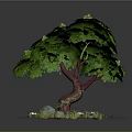 Cartoon Scene of Tree with Green Leaves Trunk Grass Stones and Small Flowers