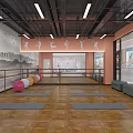 Fitness Studio With Yoga Mats Fitness Balls Barres Mirrors And Dance Decor On Wooden Floor