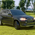Black BMW SUV Parked On Green Grass Field With Headlights On And Trees