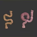 Pink Tubular Intestinal 3D Models With Curved And Circular Structure On Gray Background With Reflection