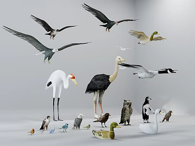 Collection of Various Birds And Small Animals Flying And Standing On Gray Background 3d model