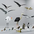 Collection of Various Birds And Small Animals Flying And Standing On Gray Background