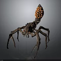 Scary Hairy Spider Like Monster Creature With Multiple Legs And Orange Back Spots