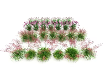 Assorted Grasses And Flowering Plants With Green Pink Purple Foliage In Garden 3d model