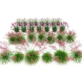 Assorted Grasses And Flowering Plants With Green Pink Purple Foliage In Garden