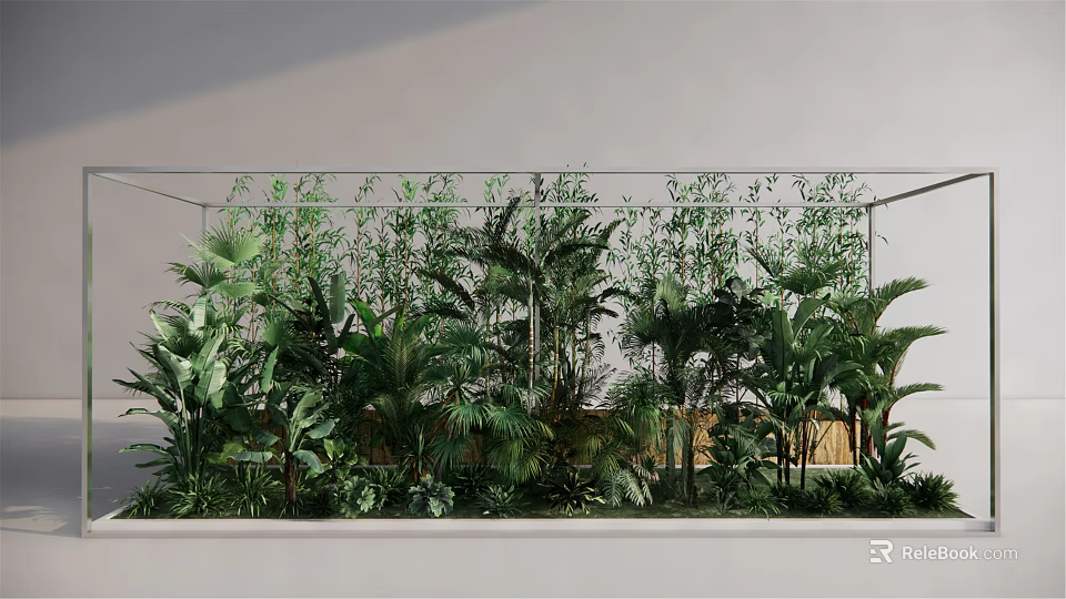 Modern Indoor Green Plants In Glass Container With Lush Foliage And White Wall 3d model 