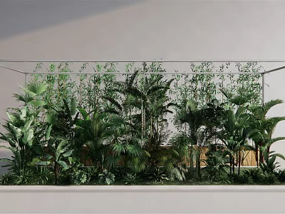 Modern Indoor Green Plants In Glass Container With Lush Foliage And White Wall 3d model