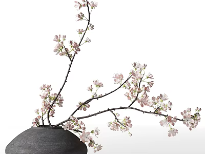 Elegant Black Ceramic Vase With Blooming Pink Cherry Blossom Branches And Delicate Flowers 3d model