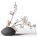 Elegant Black Ceramic Vase With Blooming Pink Cherry Blossom Branches And Delicate Flowers