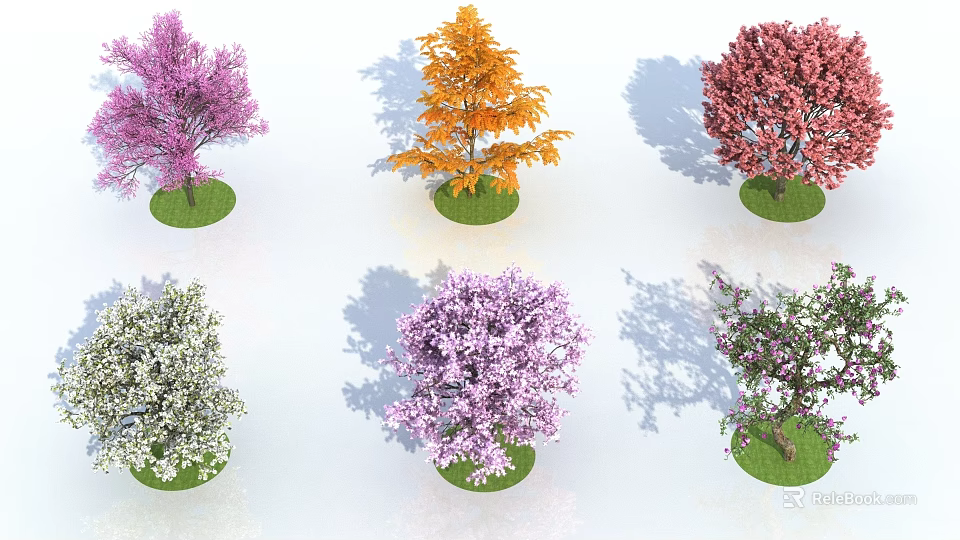 Different Colorful Arbor Trees with Vibrant Foliage on Green Grass 3d model 
