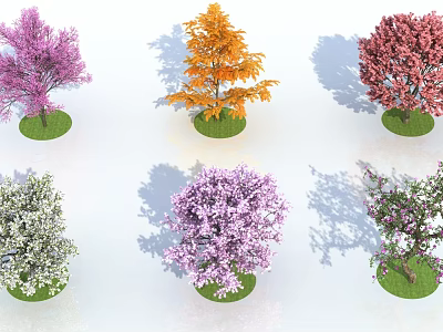 Different Colorful Arbor Trees with Vibrant Foliage on Green Grass 3d model