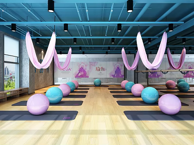 Fitness Studio Interior With Yoga Mats Balls Pink Aerial Rings And Yoga Pose Silhouettes 3d model