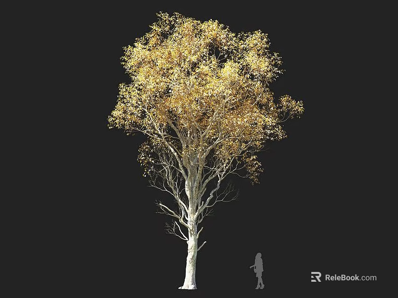 Golden Leaf Tree with White Trunk Lush Canopy and Black Background Human Figure 3d model 