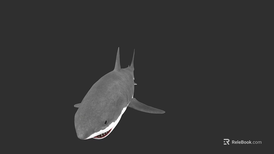 Great White Shark With Gray Body Sharp Teeth And Fins Against Black Background 3d model 