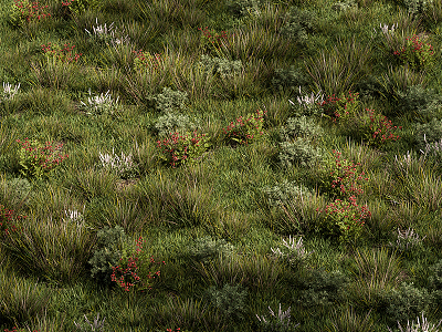 Modern grass lawn flowers 3d model