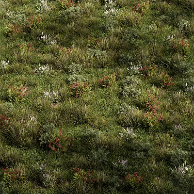 Lush Green Grass With Colorful Flowers And Various Plants In Natural Setting 3d model